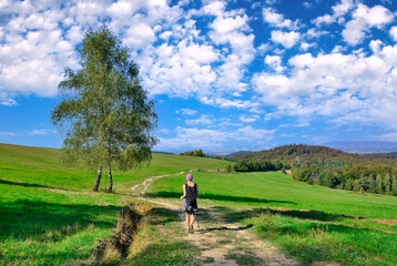 Summer mountains landscape.  Backpacker woman walks along trail at the green meadow in sunny day.