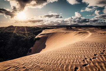 The view of the desert and dunes in the Big Drift in Wilsons Promontory National Park in the sunrise