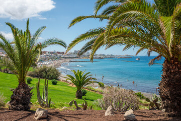 palm trees on the beach - 778663092