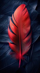 Red feather stands out in close up against dark background Vertical Mobile Wallpaper,Beautiful color feathers on dark background, closeup. Texture and pattern,background of red feathers close-up top
