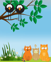 composition with cats that sit and watch birds that sit on a branch