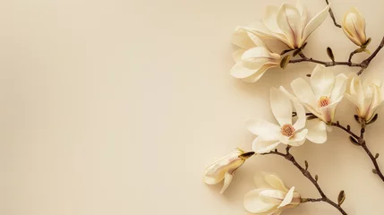 Zelfklevend Fotobehang An image featuring a graceful branch of blooming magnolia flowers with a neutral pastel-colored background for an elegant look © road to millionaire