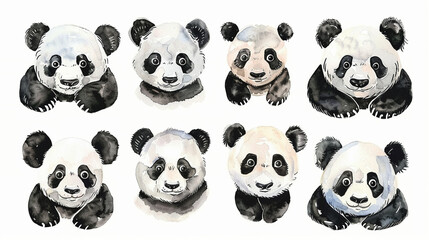 Fototapeta premium Cute set portraits of charectors of panda in watercolour cartoon style.Isolated on white background.