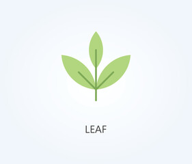 Leaf vector, icon or logo sign symbol illustration.
