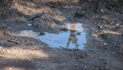 Puddle on the muddy ground after rain.