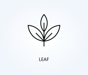 Leaf vector, icon or logo sign symbol illustration.