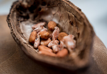 Ingredients for making handmade chocolates and candies in a workshop