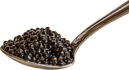 Spoonful of shiny black caviar isolated cut out on transparent background