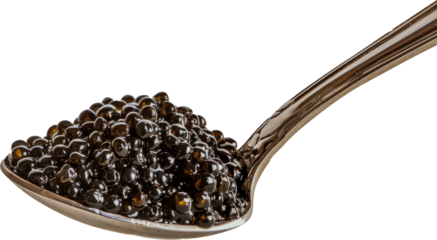 Spoonful of shiny black caviar isolated cut out on transparent background