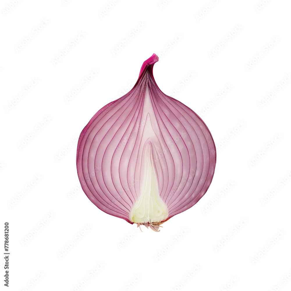 Poster onion on a transparent background with a single onion in the middle