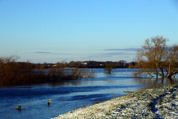 Flood in Winter at the River Aller in the Village Hodenhagen, Lower Saxony