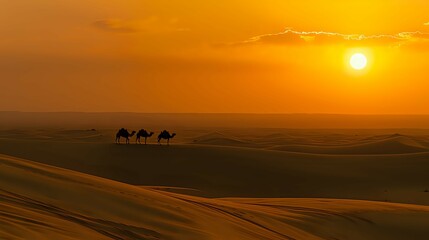 Solitary Camel Trek in Golden Sands./n