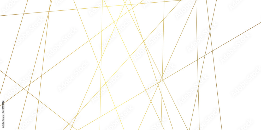 Poster abstract background with lines. white weave geometric golden lines. abstract background vector illus