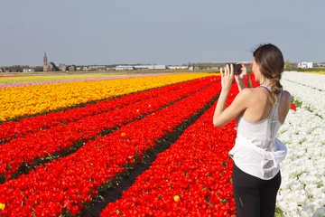 Gordijnen Woman at a typical dutch landscape with red and yellow tulips © JoseJ81