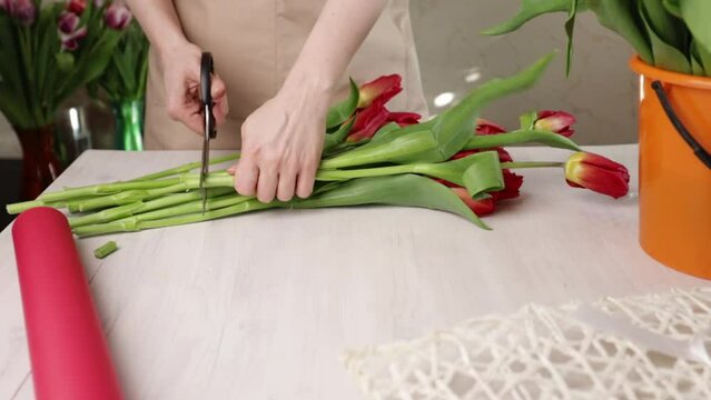 Florist trims flowers, creating a beautiful bouquet, floral arrangement in a shop