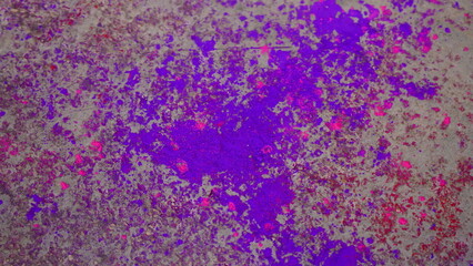 purple and pink Holi colors have fallen on the ground