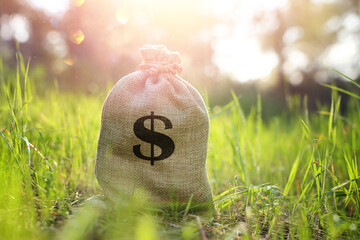 A bag of money with a dollar sign. An idea of wise investment and financial profit - 778709276