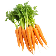 culinary comfort carrot closeups