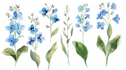 Watercolor forget-me-not clipart with small blue flowers and green leaves. - obrazy, fototapety, plakaty