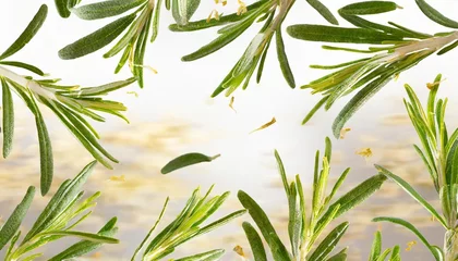 Fototapete Rund fresh green organic rosemary leaves flying on transparent background ingredient spice for cooking frame collection for design © Paris