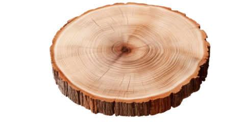 Round wooden tree slice trunk stump wood on transparent background. Many assorted different Mockup template for artwork