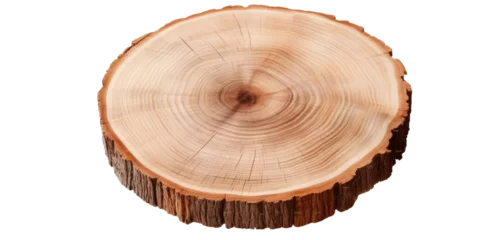 Kissenbezug Round wooden tree slice trunk stump wood on transparent background. Many assorted different Mockup template for artwork © Creative Canvas