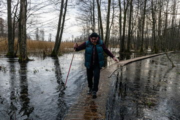 Fototapeta na wymiar Coastal stand of forest flooded in spring, trail in flooded deciduous forest with wooden footbridge, lone traveler on wooden footpath