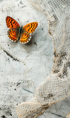 Fototapeta na wymiar Beautiful orange butterfly sits on old marble surface with a net.