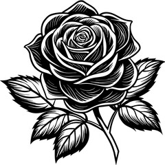    Flower silhouette  vector illustration.
