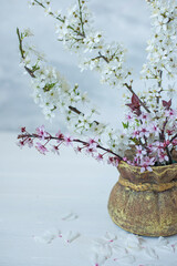 A bouquet with blooming spring branches of cherry and sakura with delicate white and pink flowers in a jug on a soft pastel background. artistic photo.