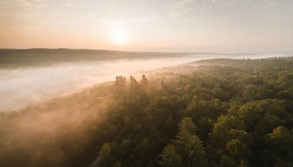 aerial view of a misty forest on a foggy day
