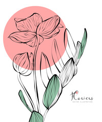 1467_Botanical illustration of flowers and leaves for print and packaging - 778717256