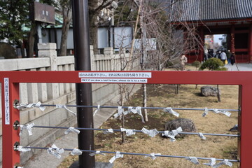 Bad fortune tie off area outside Japanese temple in Tokyo for the new year on February 15, 2024