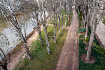 Public park with tall trees on the banks of the Douro River as it passes through the city of Aranda. - obrazy, fototapety, plakaty
