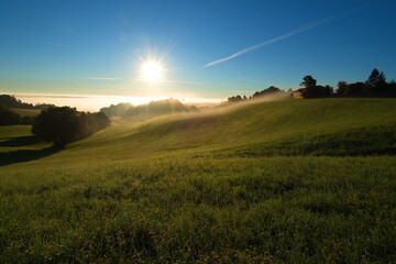 Obraz premium Landschaft, Morgenstimmung
