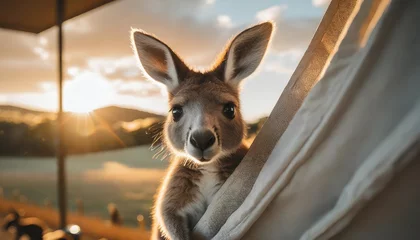 Fotobehang baby kangaroo peeking from mother s pouch in nursery generative ai © Lucia