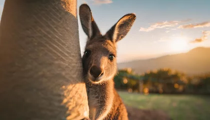 Fototapeten baby kangaroo peeking from mother s pouch in nursery generative ai © Lucia