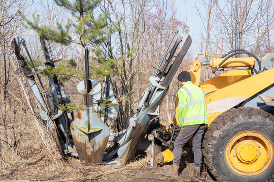 Male worker operates tree transplanter heavy machine. Landscaping, seasonal agricultural engineering, large trees landing machines.