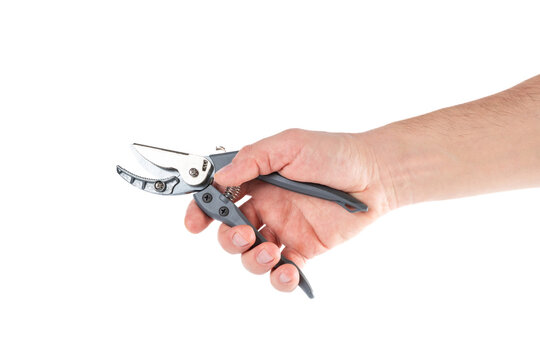Steel garden secateurs, scissors with gray plastic handle in male's hand isolated on a white background.