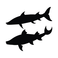 silhouette of sturgeon fish on white