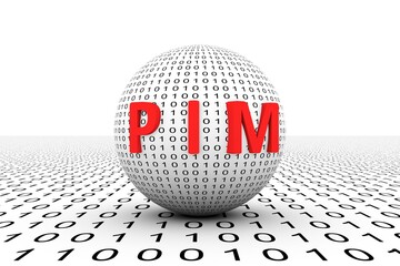 PIM conceptual sphere binary code 3d illustration