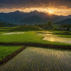 The Beauty of Sunsets: Capturing rice field and mountain