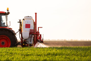 Tractor spraying pesticides wheat field. - obrazy, fototapety, plakaty