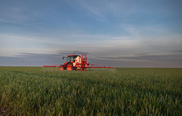 Tractor spraying pesticides wheat field. - 778728624
