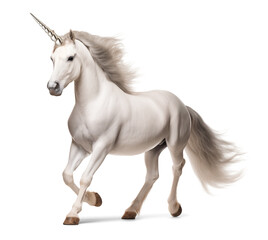 White unicorn horse in walking pose on isolated background