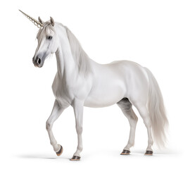 Obraz premium White unicorn horse on isolated png background