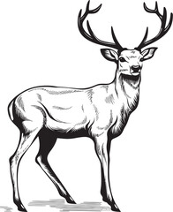 Whimsical Reindeer Elegance Vintage Christmas Reindeer Vector Illustration Retro Reindeer Delight Vintage Christmas Reindeer Vector Design Icon