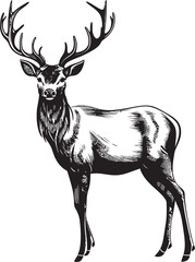 Vintage Reindeer Festive Delight Vintage Christmas Reindeer Vector Emblem Antique Reindeer Radiance Vintage Christmas Reindeer Vector Illustration