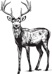 Rustic Holiday Cheer Vintage Reindeer Vector Logo Illustration Old fashioned Christmas Reindeer Vintage Vector Logo Icon