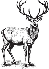 Vintage Christmas Elegance Reindeer Vector Logo Emblem Classic Reindeer Magic Retro Christmas Vector Logo Design